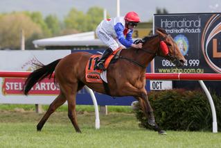 Savvy Coup claiming the 2018 G1 Livamol Classic.